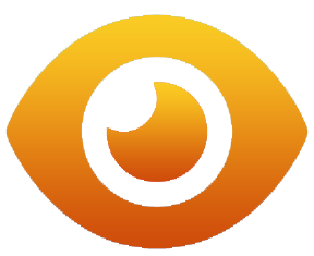 visionicon0